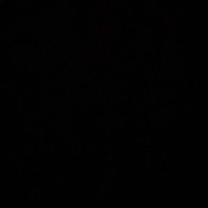 Meet your Posher, Xavier